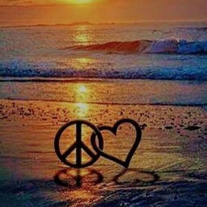 Meet your Posher, Messina